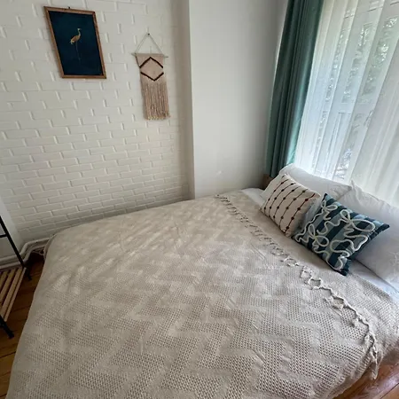 فندق مبيت وإفطار Cozy In The Heart Of Besiktas اسطنبول